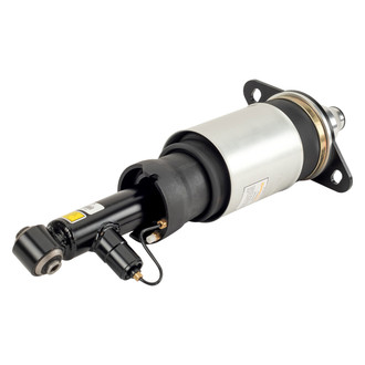 Arnott® - Rear Driver or Passenger Side Air Twin-Tube Non-Adjustable Strut