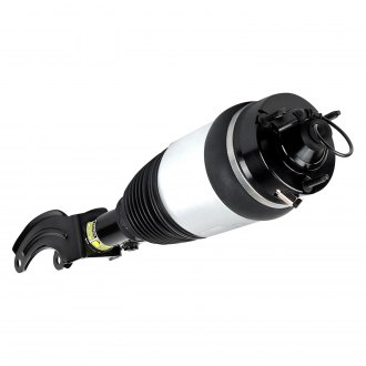 Arnott® - Eibach Front Passenger Side Air Strut