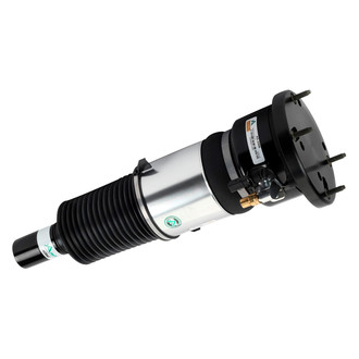 Arnott® - Front Driver or Passenger Side Air Monotube Non-Adjustable Strut