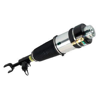 Arnott® - Front Passenger Side Air Twin-Tube Non-Adjustable Strut