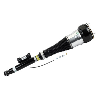 Arnott® - Rear Passenger Side Air Monotube Non-Adjustable Strut