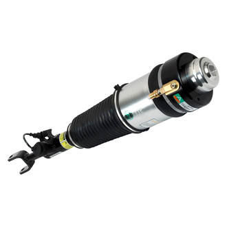 Arnott® - Front Driver Side Air Twin-Tube Non-Adjustable Strut