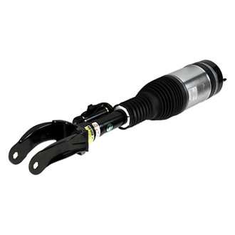 Arnott® - Front Passenger Side Air Twin-Tube Non-Adjustable Strut