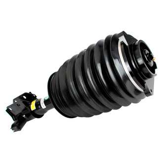 Arnott® - Front Driver Side Air Strut