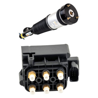 Arnott® - 2-Pc Air Shock Absorbers and Strut Kit