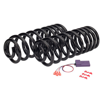 Arnott® - Rear Air to Coil Spring Conversion Kit