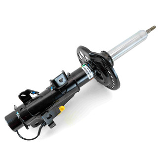 Arnott® - Front Passenger Side Strut