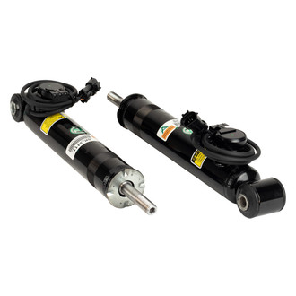Arnott® - Rear Shock Absorbers