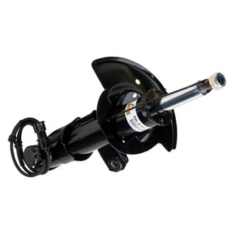 Arnott® - Front Struts