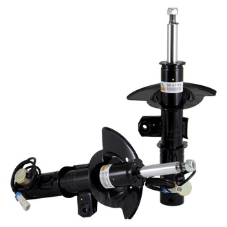Arnott® - Front Struts