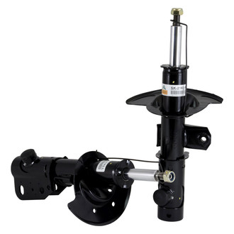 Arnott® - Front Struts
