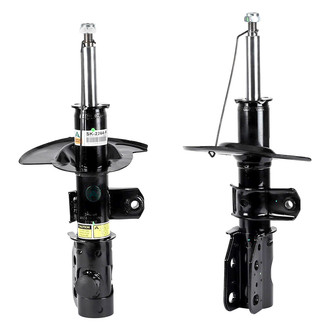 Arnott® - Front Struts