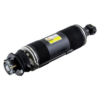 Arnott® - Rear Passenger Side ABC Strut