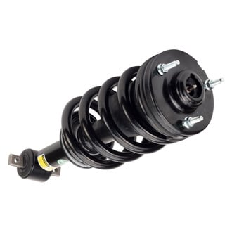 Arnott® - Complete Strut Assembly