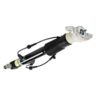 Arnott® - Rear Passenger Side Complete Strut Assembly