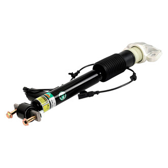 Arnott® - Rear Driver Side Complete Strut Assembly