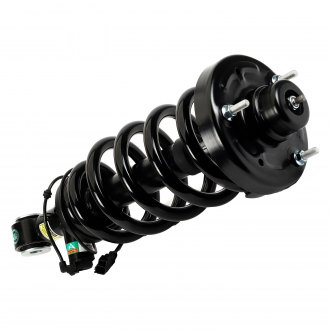 Arnott® - Rear Passenger Side Complete Strut Assembly