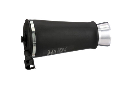 Arnott® - Rear Driver or Passenger Side Heavy Duty Air Spring Installation