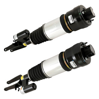 Arnott® - Front Strut Set