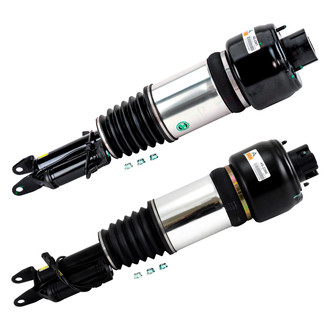 Arnott® - Front Strut Set