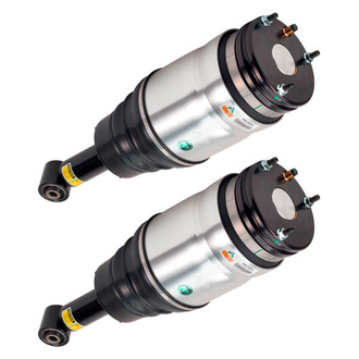 Arnott® - Rear Strut Set