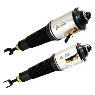 Arnott® - Air Monotube Non-Adjustable Strut
