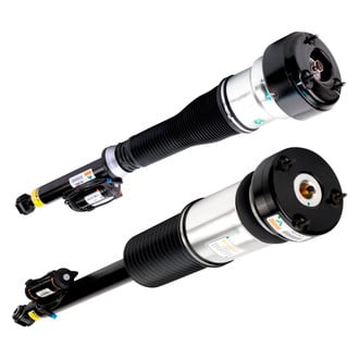 Arnott® - Rear Strut Set