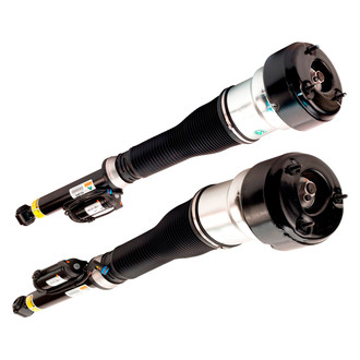 Arnott® - Rear Strut Set