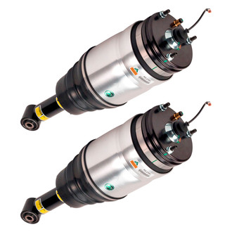 Arnott® - Rear Strut Set