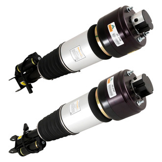 Arnott® - Front Strut Set