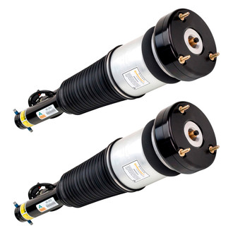 Arnott® - Front Strut Set