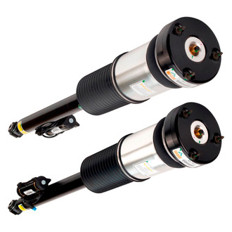 Arnott® - Rear Strut Set