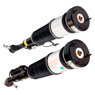 Arnott® - Front Strut Set
