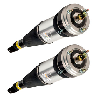 Arnott® - Air Twin-Tube Non-Adjustable Strut