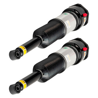 Arnott® - Rear Strut Set