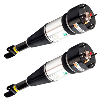 Arnott® - Front Strut Set