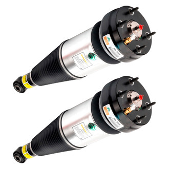 Arnott® - Rear Strut Set