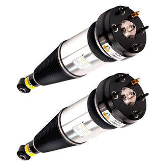 Arnott® - Rear Strut Set