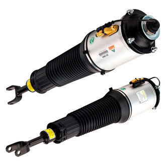Arnott® - Front Strut Set
