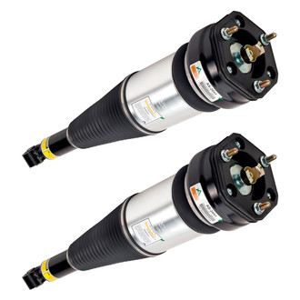 Arnott® - Air Twin-Tube Non-Adjustable Strut