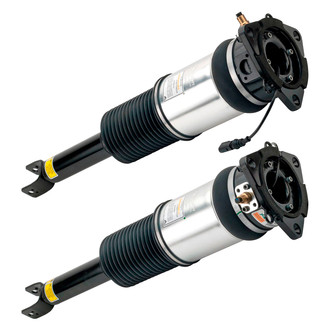 Arnott® - Rear Strut Set