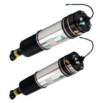 Arnott® - Rear Air Monotube Non-Adjustable Strut