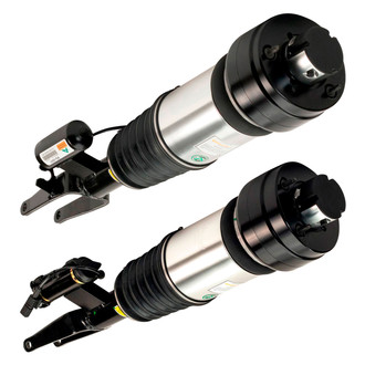 Arnott® - Front Strut Set