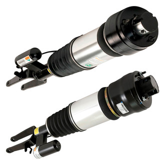 Arnott® - Front Strut Set