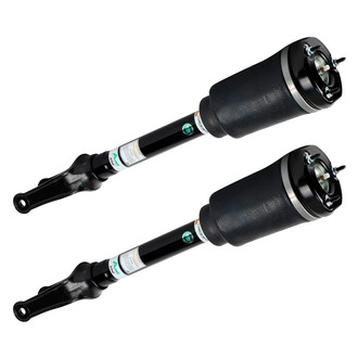 Arnott® - Front Strut Set