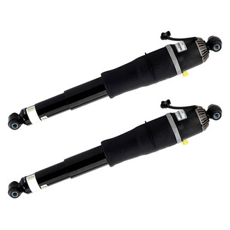 Arnott® - Rear Strut Set