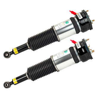 Arnott® - Rear Strut Set