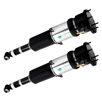 Arnott® - Rear Strut Set