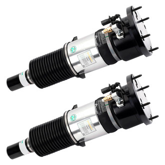 Arnott® - Front Strut Set
