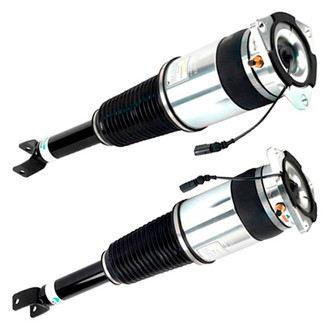 Arnott® - Rear Strut Set